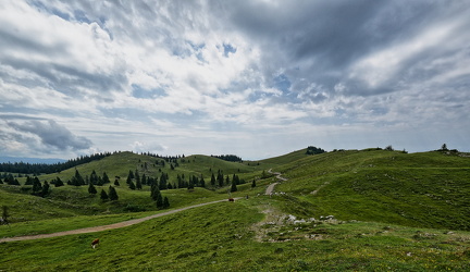 Alpes-20240708-1318- h2a